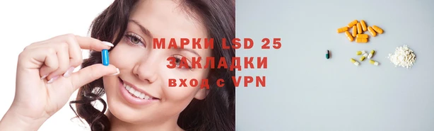 PSILOCYBIN Нефтекумск