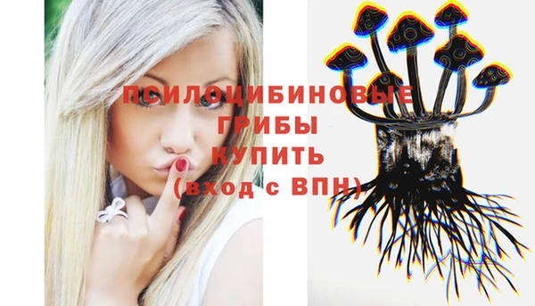 бошки Арсеньев
