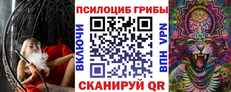 как найти закладки Рошаль гидра онион Галлюциногенные грибы Magic Shrooms
