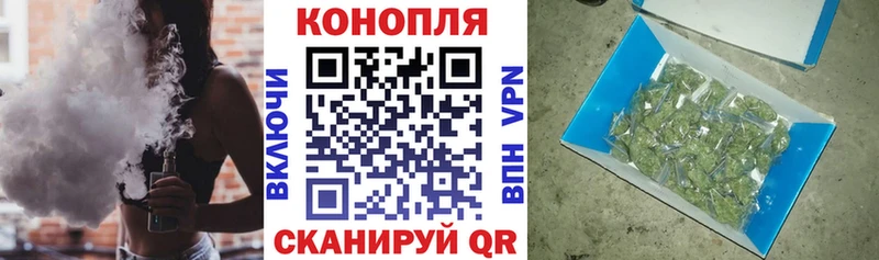 Канабис гибрид Рошаль